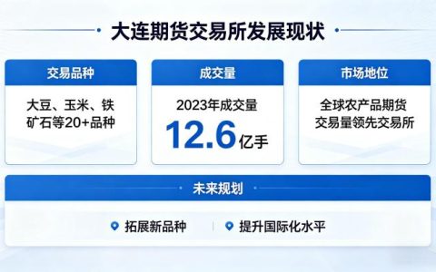 大连期货交易所发展现状 2026 年运营发展全解析