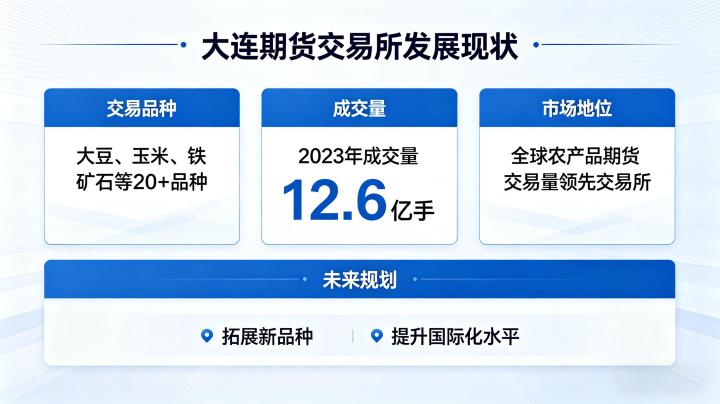 大连期货交易所发展现状 2026 年运营发展全解析