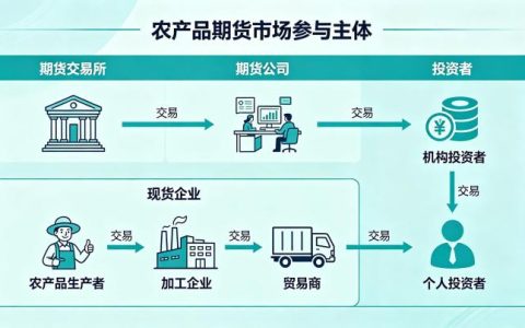 农产品期货市场中的参与主体 2026 年最新构成与作用