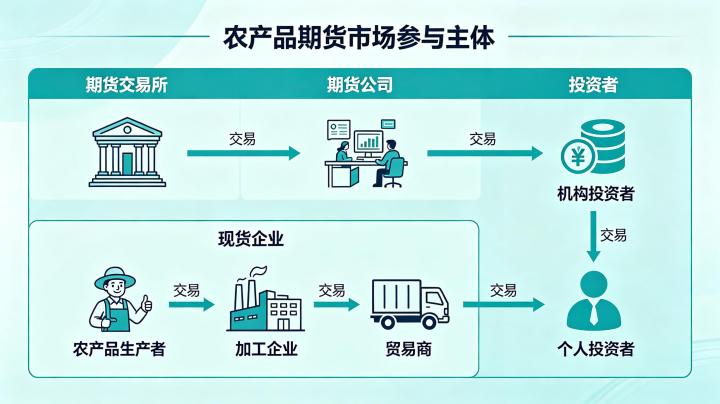 农产品期货市场中的参与主体 2026 年最新构成与作用