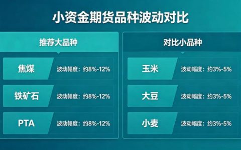 小资金做期货哪个品种波动大 2026 年高波动品种推荐