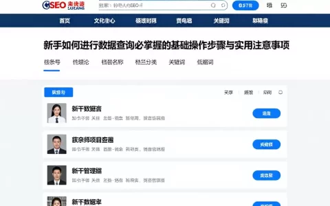 新手如何进行数据查询必掌握的基础操作步骤与实用注意事项