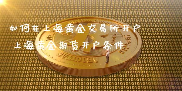 如何在上海黄金交易所 上海黄金期货条件