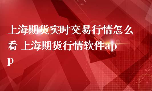 上海期货实时交易行情怎么看 上海期货行情软件app_https://www.liuyiidc.com_黄金期货_第1张