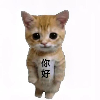 青鸾太后