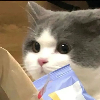 战争领主