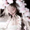 漂泊日记