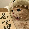 逗闷子