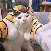 荒原独啸