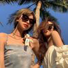 孤狼啸夜