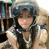 夜语迷途